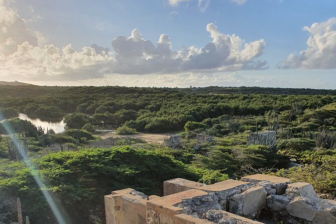 Half-Day Spanish Lagoon Mangrove Trail With Private Guide - Tour Highlights