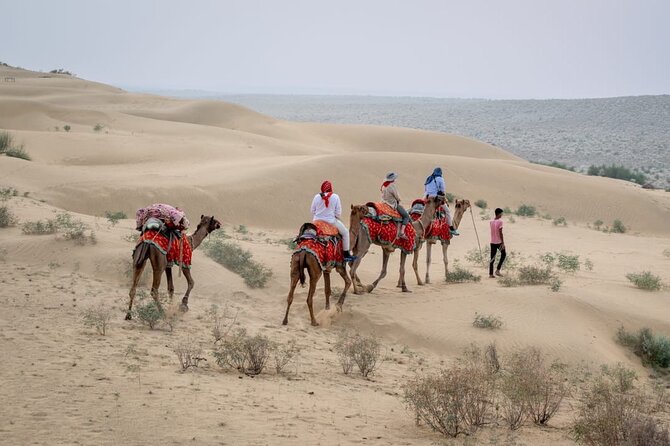 Half Day Sunset Camel Safari Jaisalmer - Key Points