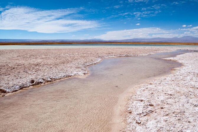 Half-Day Tour to Laguna Cejar - Key Points