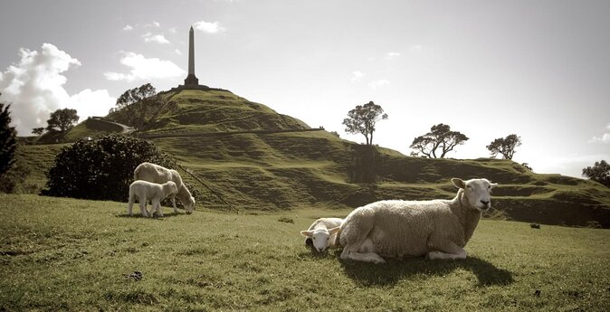 Half-Day Volcano Tour From Auckland - Key Points