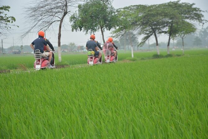 Hanoi Food Tours: Hanoi Foodie Scooter Tour Led By Women - Tour Overview