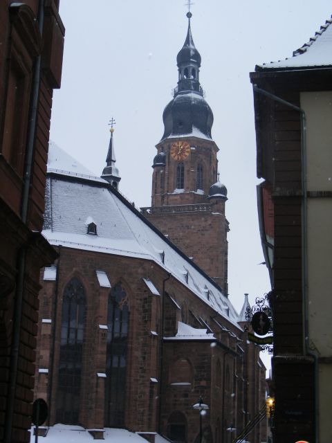 Heidelberg: 2-Hour Crime Tour With Costumed Guide - Key Points