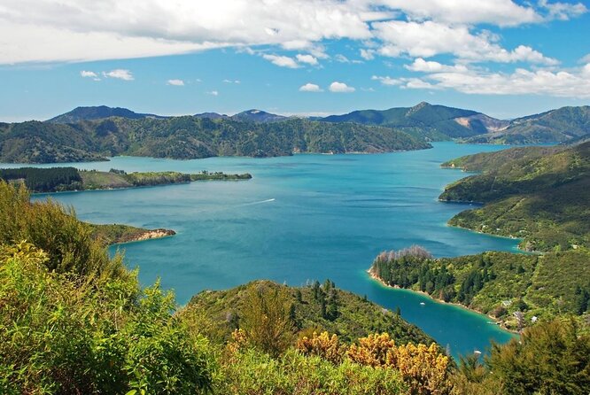 Heli-Scenic Marlborough Sounds - Key Points