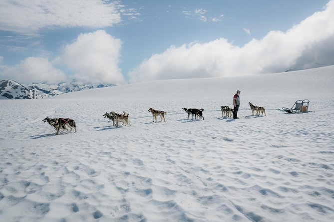 Helicopter and Glacier Dog Sledding Tour From Seward - Key Points