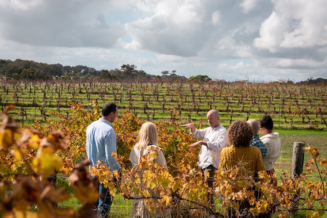 Hidden Gems: Full-Day Wine, Scones, Local Produce and Nature Tour - Key Points