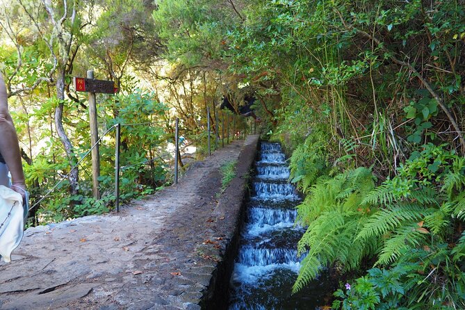 Hike 25 Fontes & Risco Levada Self-Guided - Tour Overview