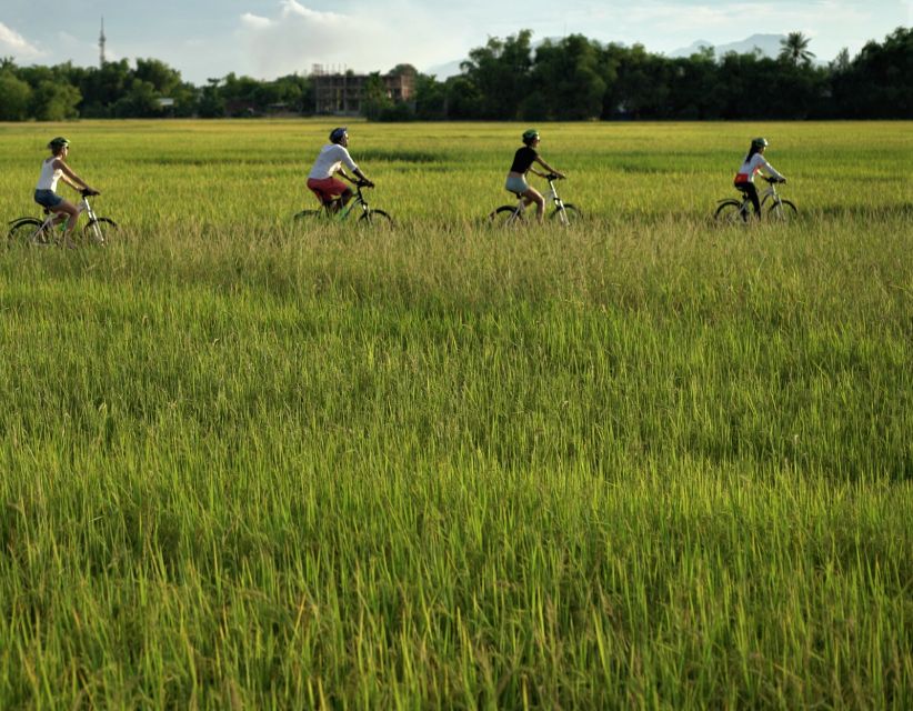 Hoi An: Morning Countryside Tour by Bike - Key Points