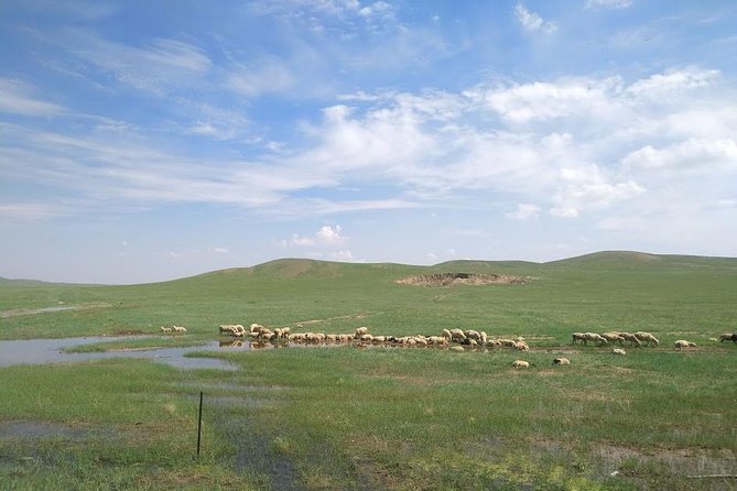 Huhhot 4D3N Inner Mongolia Grassland and Desert Nature Tours - Tour Overview