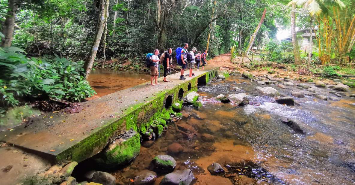 Ilha Grande: Private Hiking With Forest, Beaches & Waterfall - Key Points