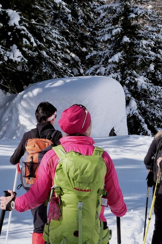 Innsbruck: Priv. Guided Snowy Mountain Hike /Snowshoe´s - Good To Know