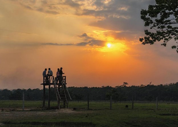 Jeep Safari (4-5 Hrs., Sharing) Inside Chitwan National Park. - Key Points