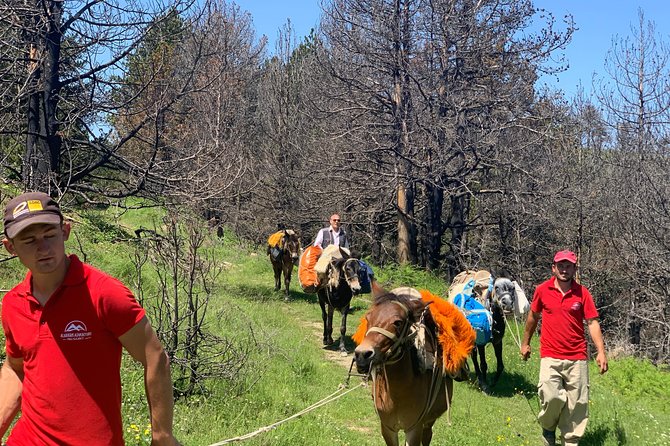 Jeep Safari Berat Hiking Caravan Mule in Tomori Holy Mount - Overview of the Jeep Safari