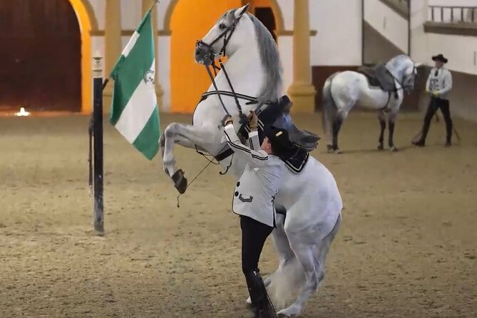 Jerez & Cadiz Winery With Tasting & Opt Horse Show From Seville - Good To Know