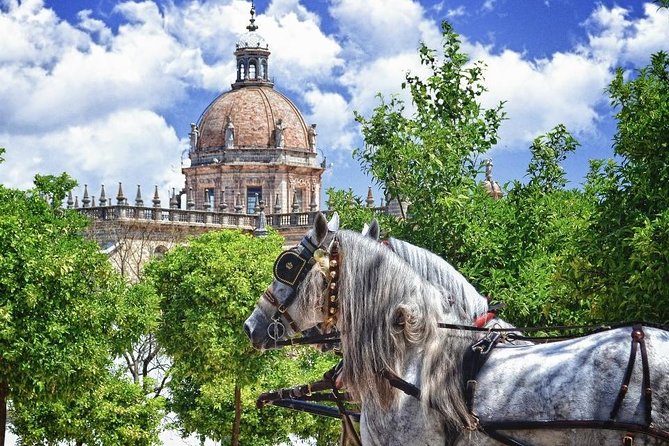 Jerez De La Frontera History and Art Walking Tour - Good To Know