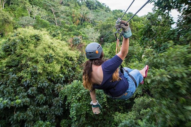 Jungle Top Zipline Suspension Bridges, Monkeys and Sloth Hangout - Key Points