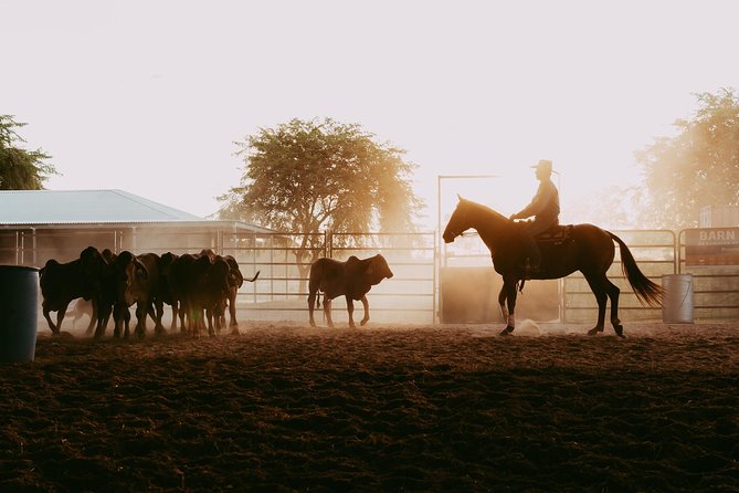 Katherine Outback Experience Show Ticket - Key Points