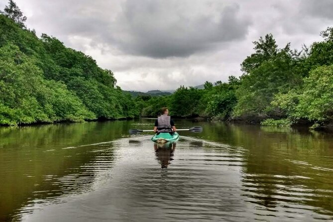 Kayaking to the Islands & Mangroves in Paraty - Key Points