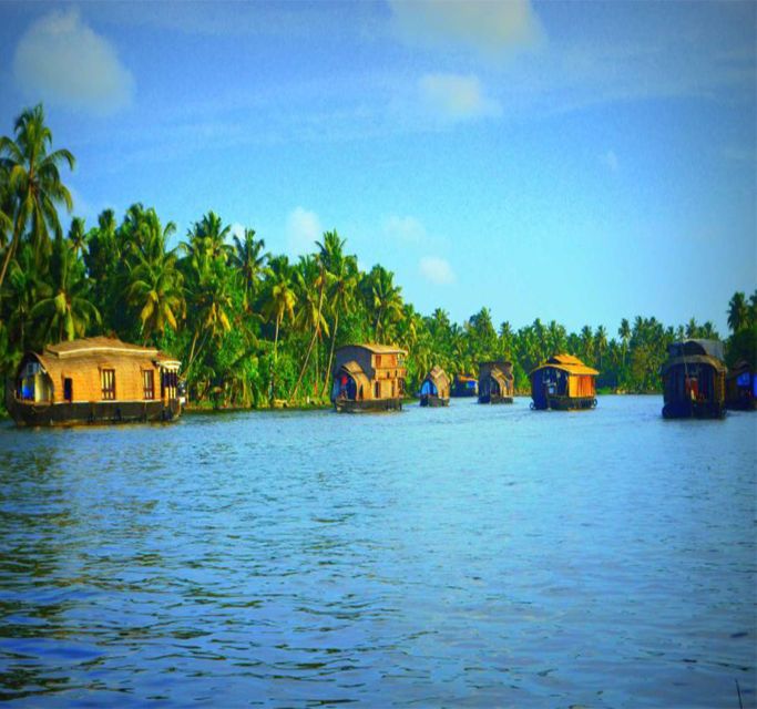 Kerala: 4-Day Tour With Tree House Stay & Houseboat Ride - Key Points