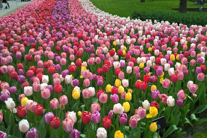 Keukenhof Tulips and Zaanse Schans Windmills Private Day Tour - Itinerary Highlights