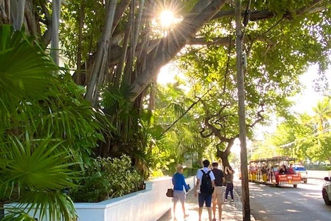 Key West Historic District Small-Group Walking Tour - Experience Highlights