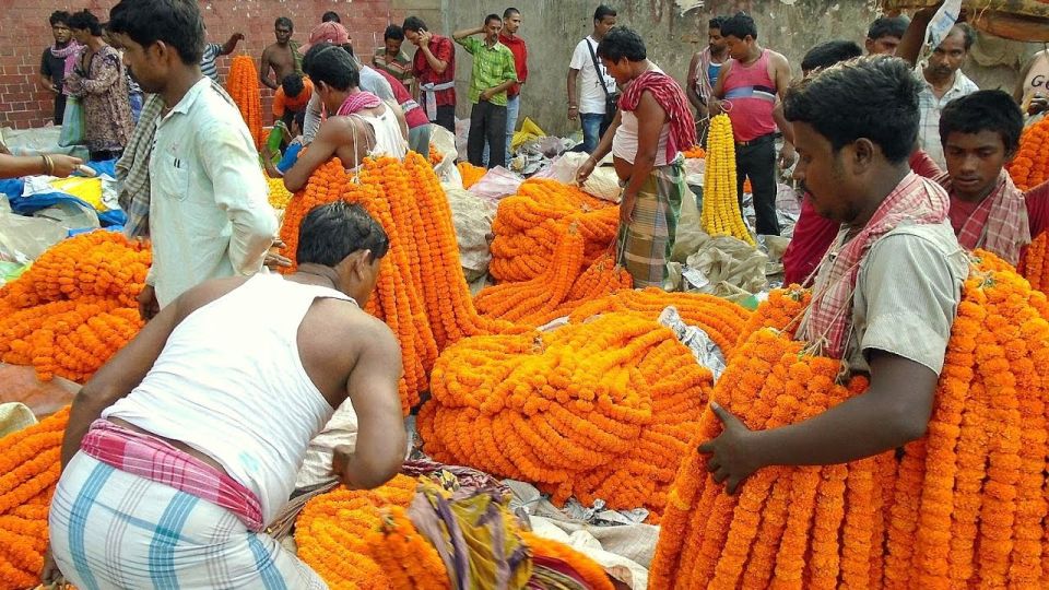 Kolkata: Private Tour of City of Joy With Licensed Guide - Key Points