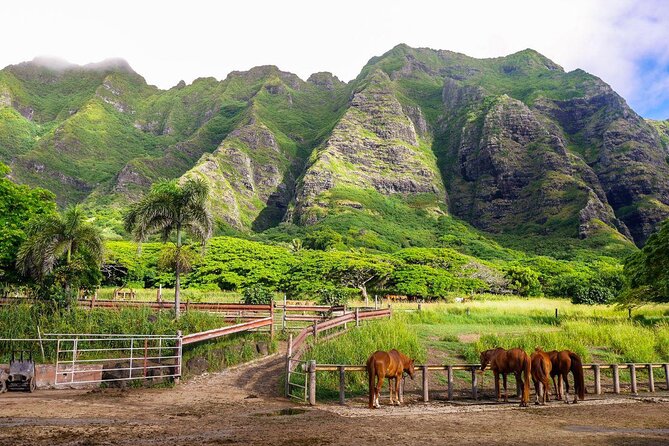 Kualoa Ranch - Jurassic Valley Zipline - Key Points