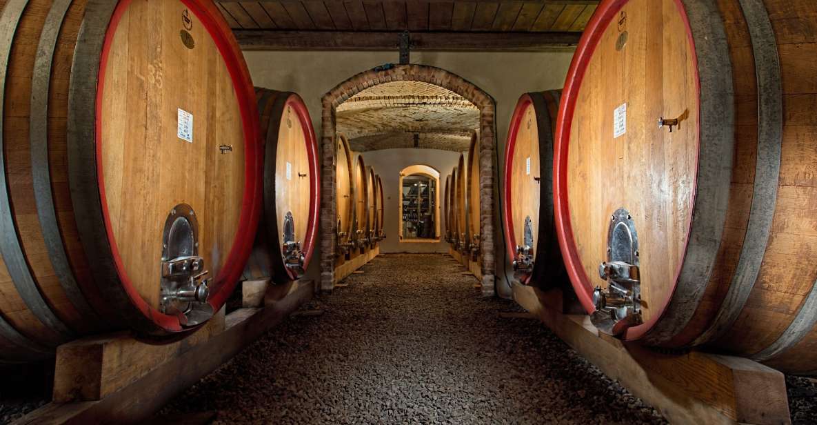 Langhe: Winery Tour and Wine Tasting - Key Points