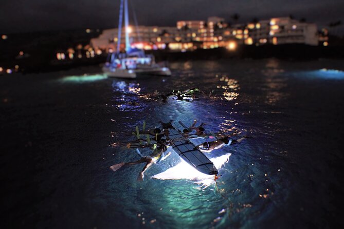 Late Night Manta Snorkel - Overview of the Experience