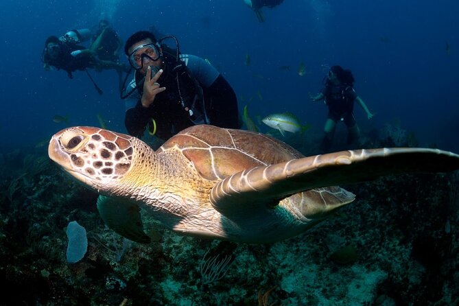 Learn to Scuba Dive in Punta Cana - Key Points