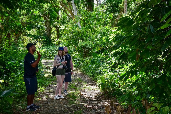 Lets Do Hiking in Punta Cana - Tour Overview and Highlights