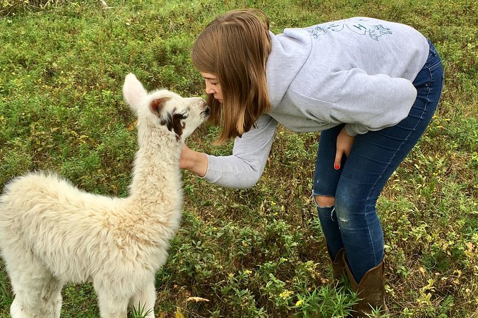 Llama/Alpaca Hike and Farm Tour - Key Points