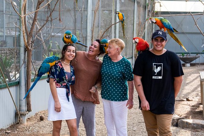 Maleny Botanic Gardens Bird Aviary Experience Ticket - Key Points