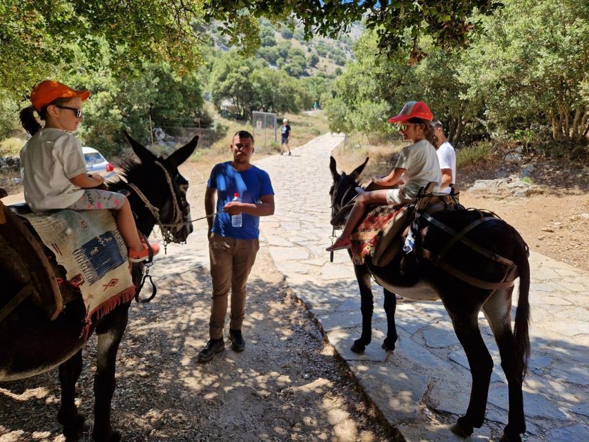 Malia: 4X4 Self Drive Safari Free Pick up & Lunch - Key Points