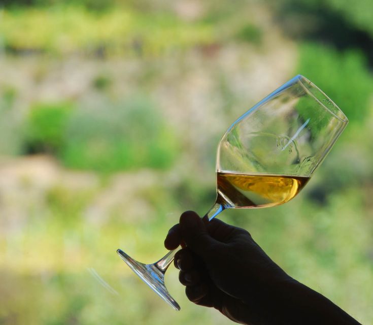 Manarola: Cinque Terre Wine Tasting - Key Points