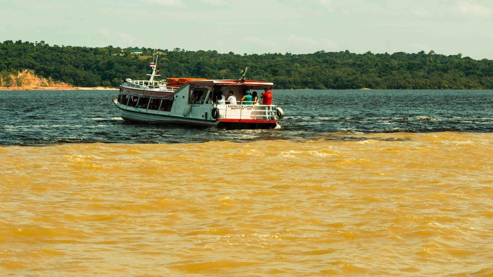 Manaus: Meeting of the Waters & Pink Dolphin Tour With Lunch - Key Points