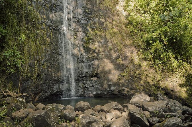 Manoa Waterfall Hike From Waikiki With Healthy Lunch Included - Key Points