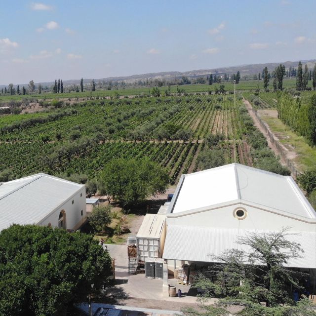 Mendoza: Private Wine Tour, Tastings and Lunch With Pairings - Key Points