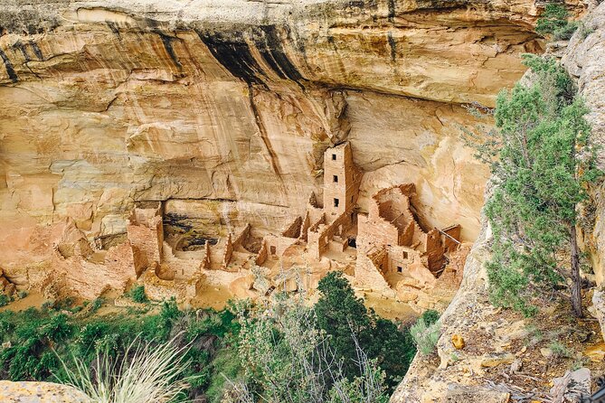 Mesa Verde National Park 1/2 Day Tour - Tour Overview