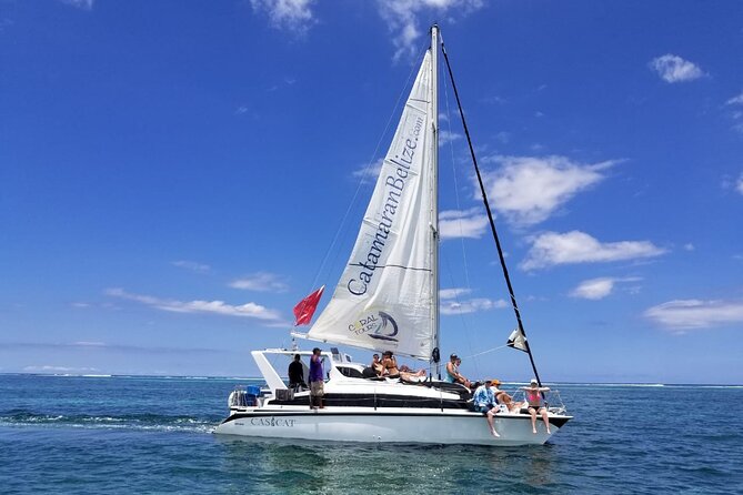 Mexico Rocks Day Sail Shared Guided Tour - Key Points