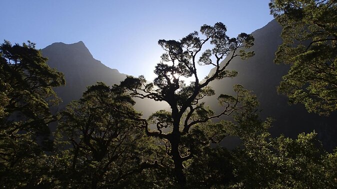 Milford Track Day Walk - Milford Sound - Key Points