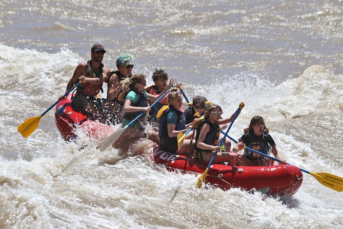 Moab Half-Day Rafting Trip - Overview of the Trip