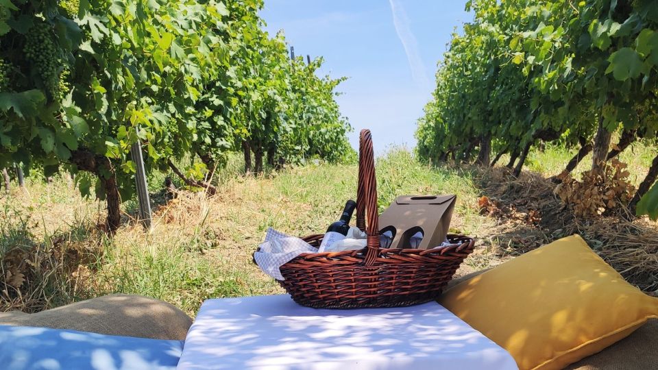 Monferrato: Garetto Wine Estate Tour and Picnic - Key Points