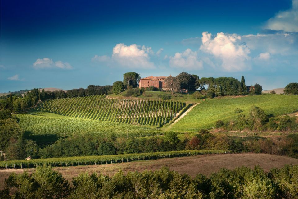 Montalcino: Brunello Wine Tasting Experience - Experience Overview