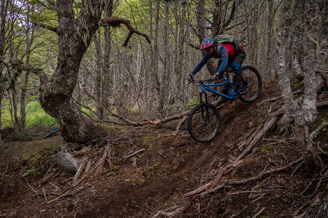 Mountain Bike Adventure in Punta Arenas - Key Points