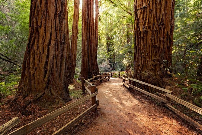 Muir Woods With Napa & Sonoma Wine Tour - Key Points