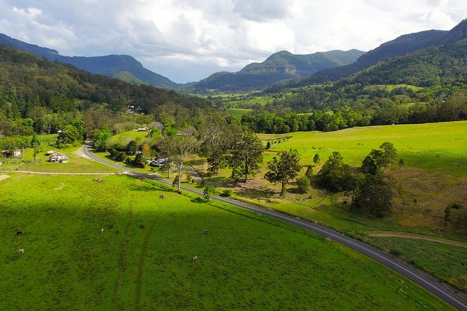 Natural Bridge & Springbrook Waterfalls Tour - Key Points