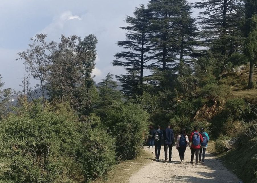 Nature Walk of Mussoorie (2 Hours Guided Walking Tour) - Key Points