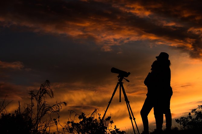 Night Guided Tour - Key Points