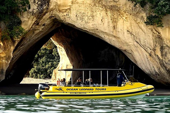 Ocean Leopard Tours - Cathedral Cove Boat Tour - Key Points