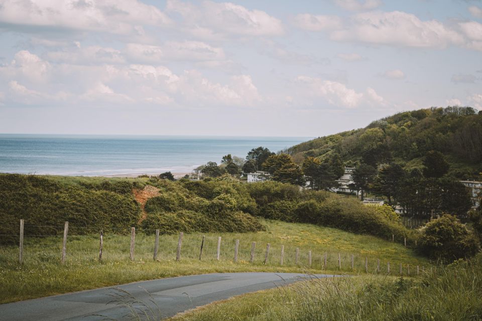 Omaha Beach and Colleville Cemetery Private Walking Tour - Key Points